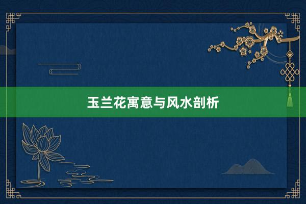 玉兰花寓意与风水剖析