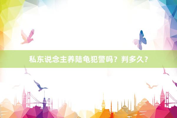 私东说念主养陆龟犯警吗？判多久？